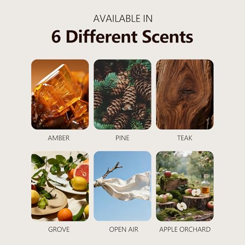 POITEAG 2-In-1 Car Freshener