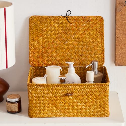 EugroVanth Wicker Storage Box With Lid