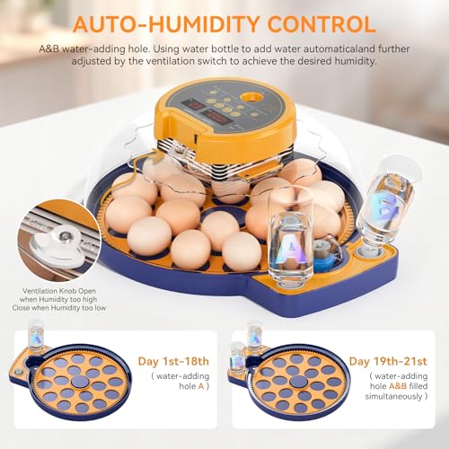 LXZNCD Incubators For Hatching Eggs