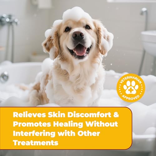 NutraLeonis Yeast Infection Treatment For Dogs Shampoo