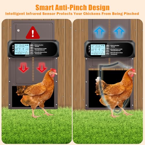 Automatic Chicken Coop Door