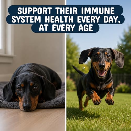 Premium Pet Mushroom Chews