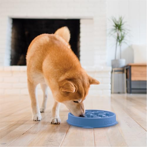 Slow Feeder Dog Bowls