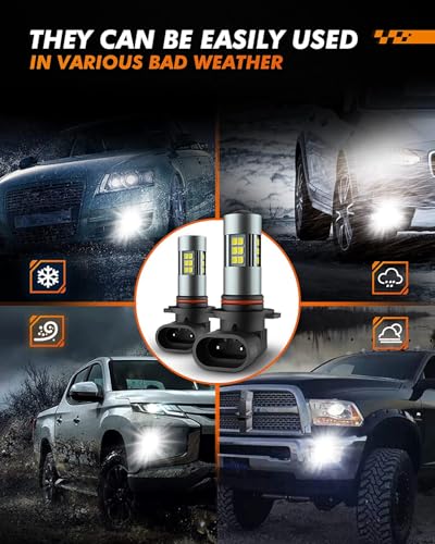 LED Fog Light Bulbs