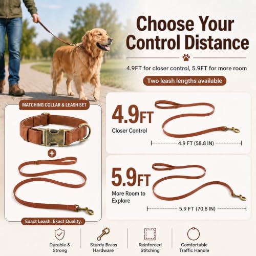B&F Dog Leash For Small Dogs